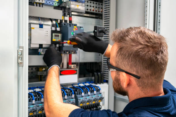 Best Home Electrical Repair  in Birch Run, MI