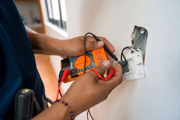 Best Electric Panel Repair  in Birch Run, MI