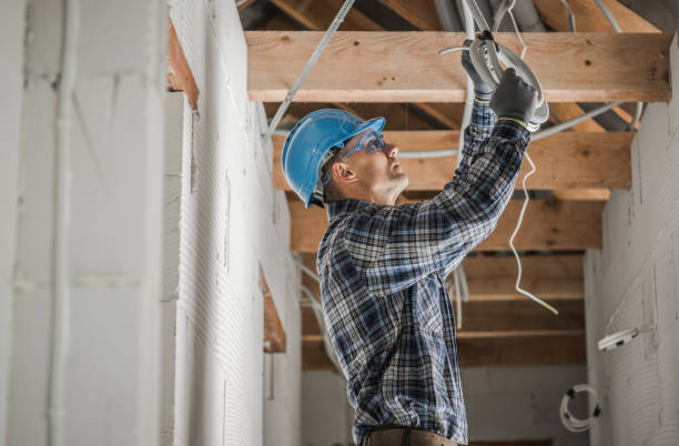 Best Electrical Troubleshooting Services  in Birch Run, MI