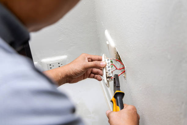 Best Electrical Troubleshooting Services  in Birch Run, MI